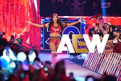 [Photo] Nikki Bella spotted with former AEW champion