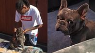 Was Snoop Dogg’s pet Juelz a gift from Wiz Khalifa? All we know as rapper mourns death of his beloved dog