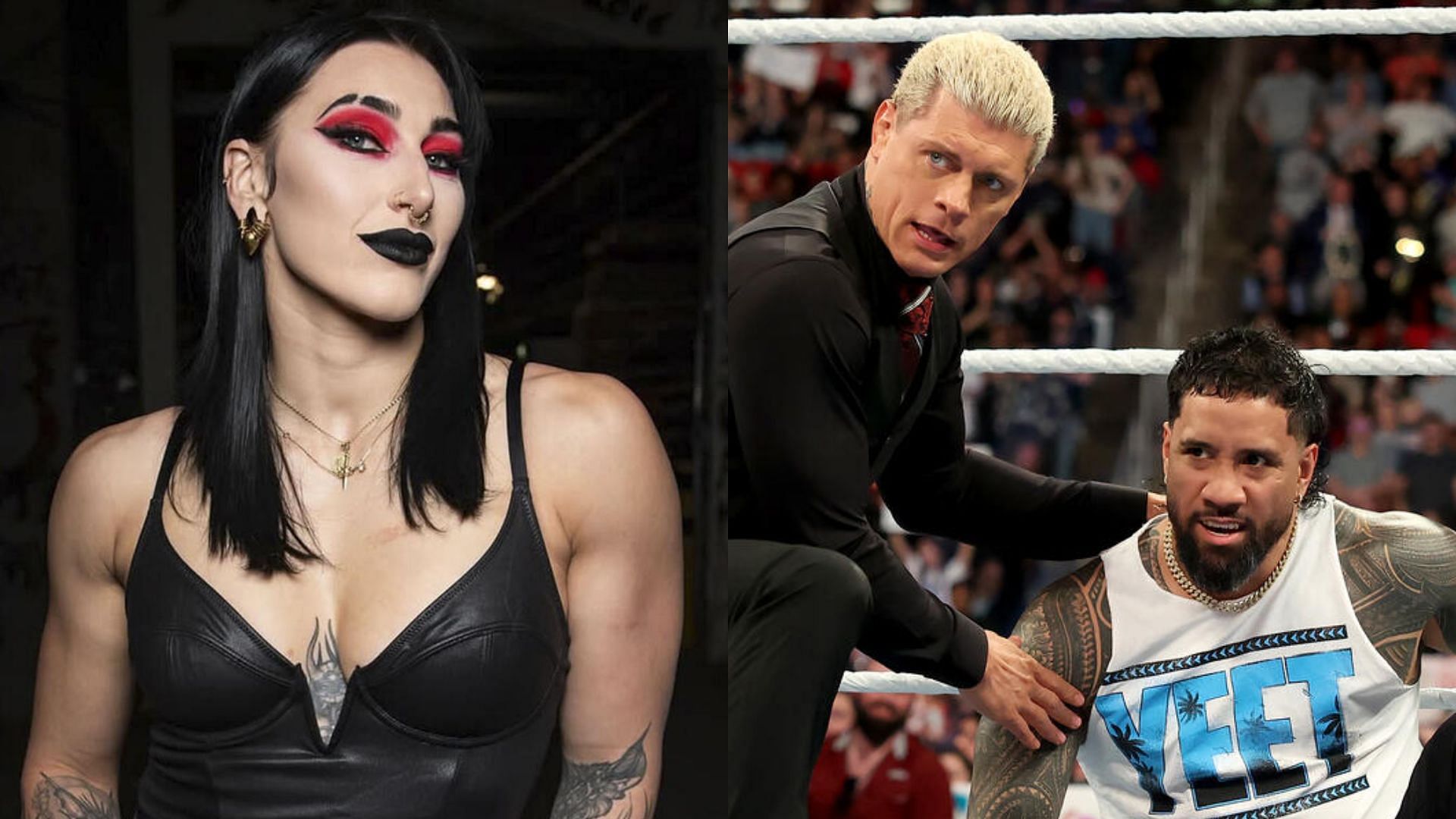 The stars are all featured (Credit: WWE.com)