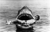 Director Steven Spielberg as seen on the sets of Jaws. (Image via nbcuniversal.com)