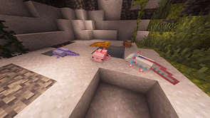 All varieties of axolotls in Minecraft