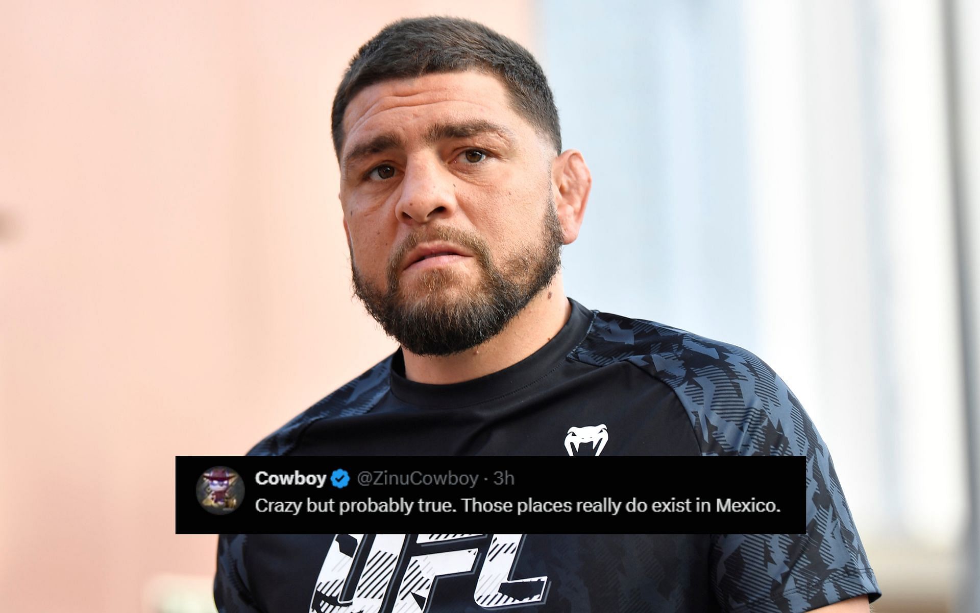Fans react to Nick Diaz