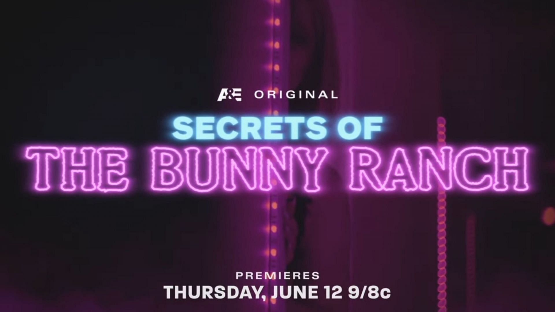 Secrets of the Bunny Ranch (image via A&amp;E) 