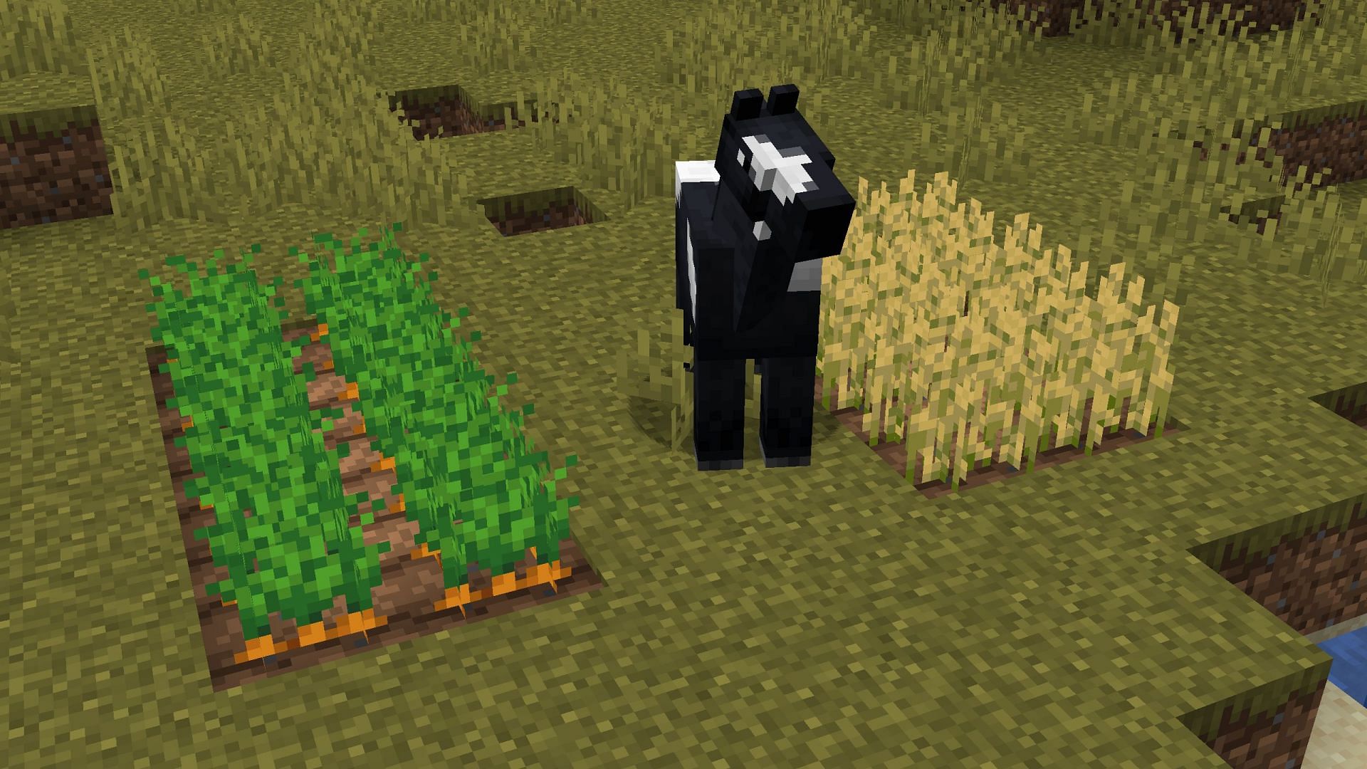 Carrots are now a better staple food item for horses than wheat (Image via Sportskeeda Gaming || Mojang Studios)