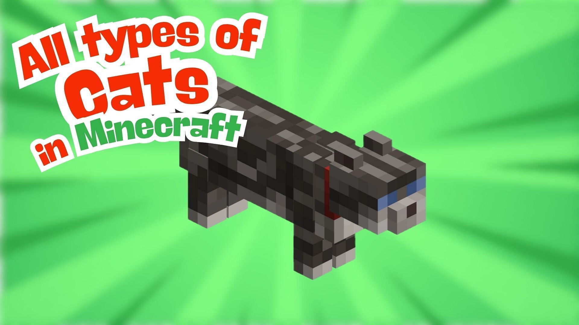 All types of cats in Minecraft