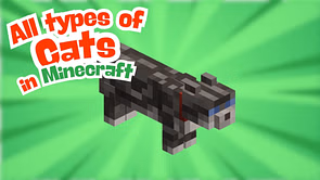 All types of cats in Minecraft