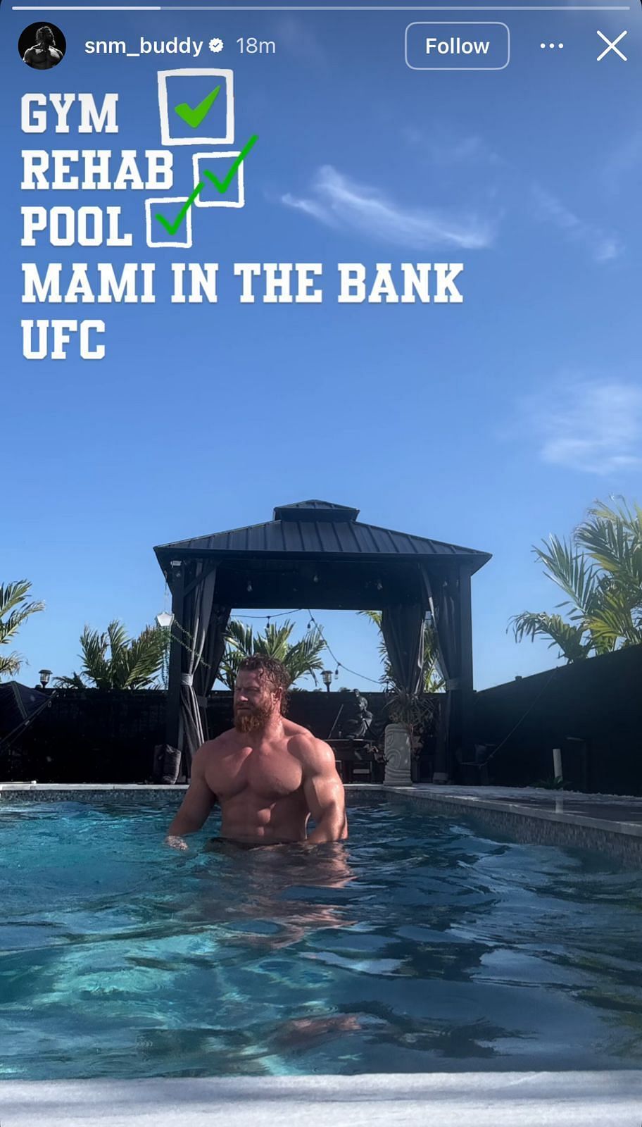 Screenshot of Matthews&#039; Instagram Story