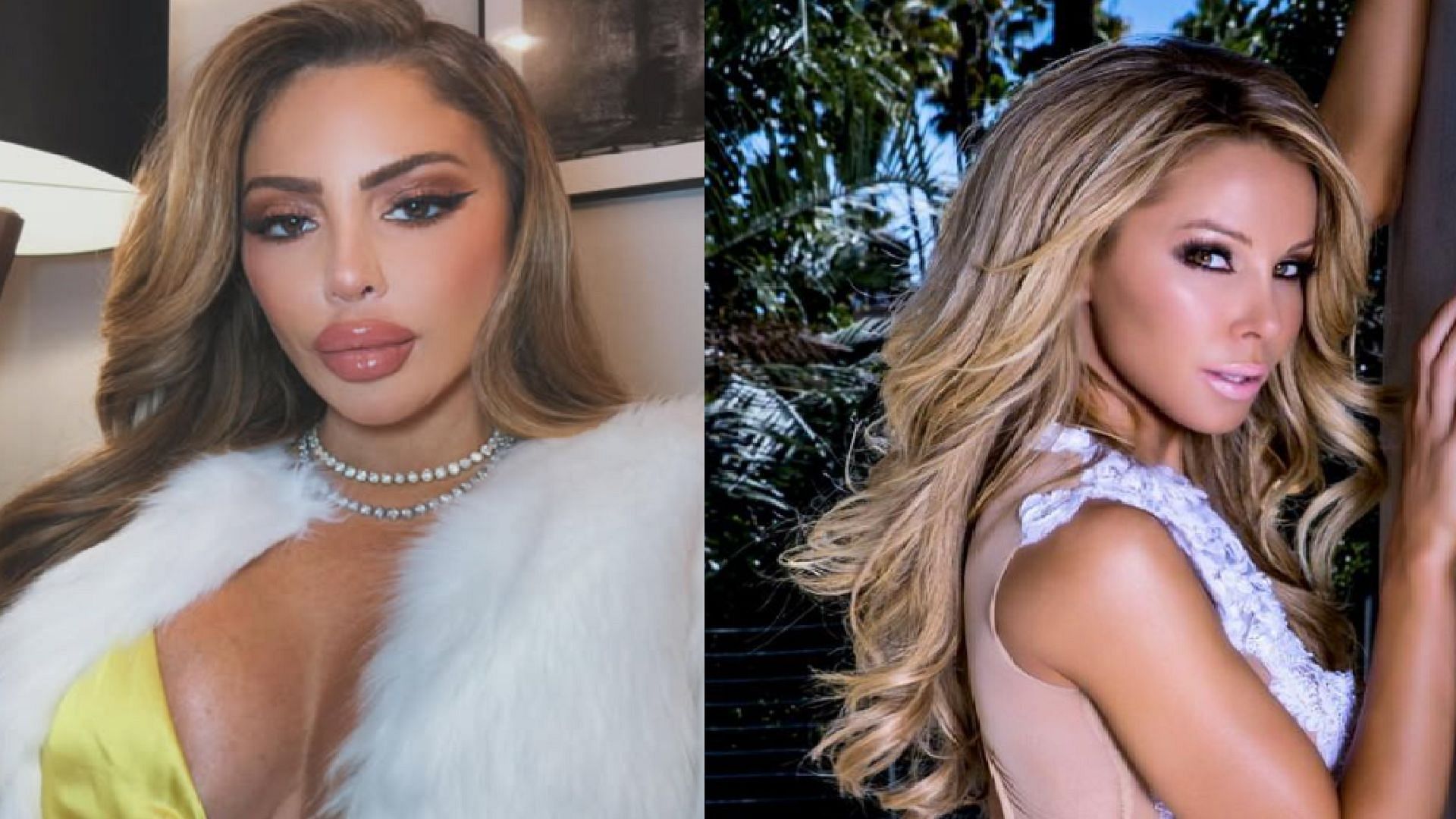 An image of Larsa Pippen and Lisa Hochstein side by side