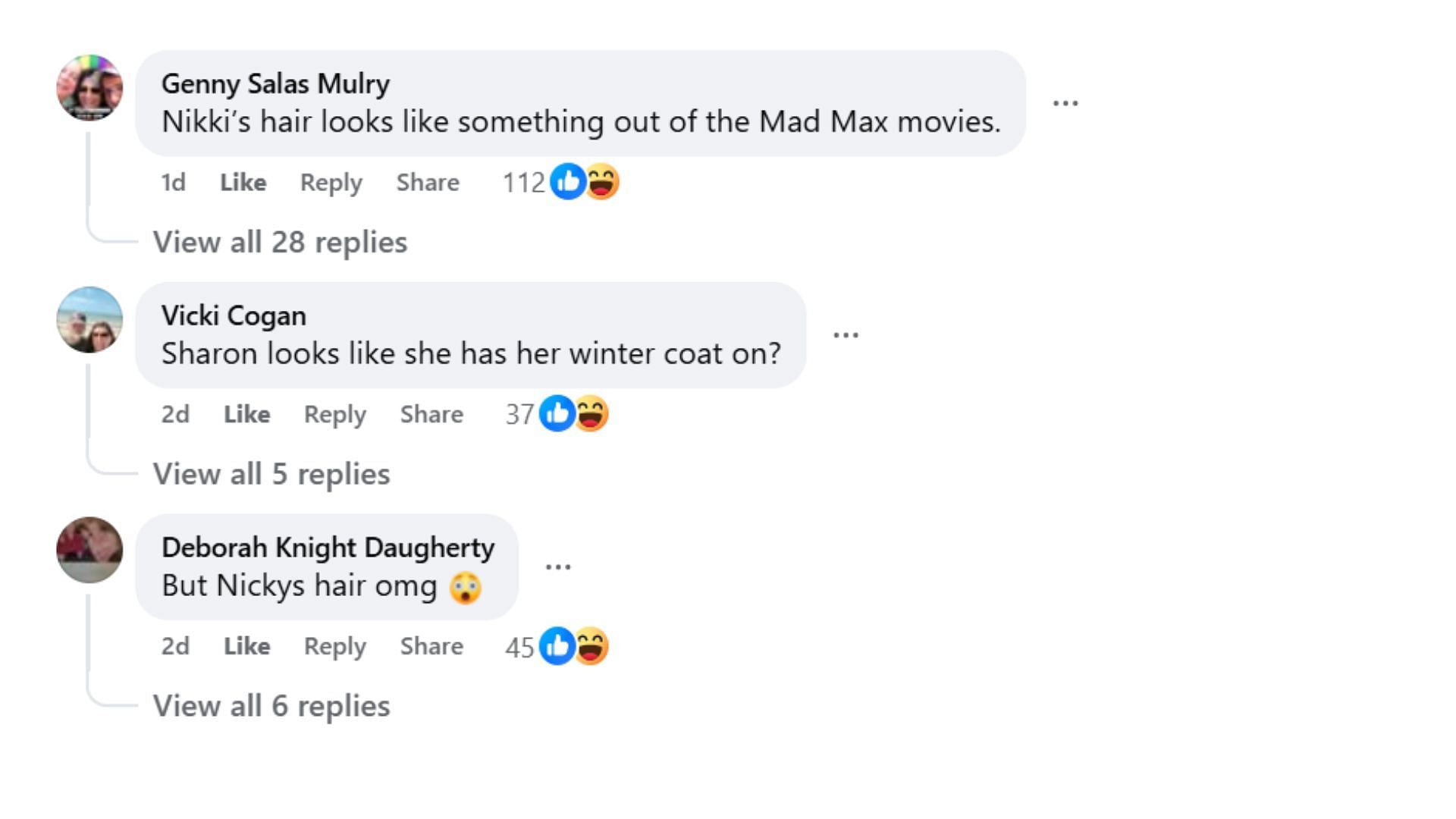 Comments by fans on the post (Image via Facebook/@Diane Diffendale Porcello)