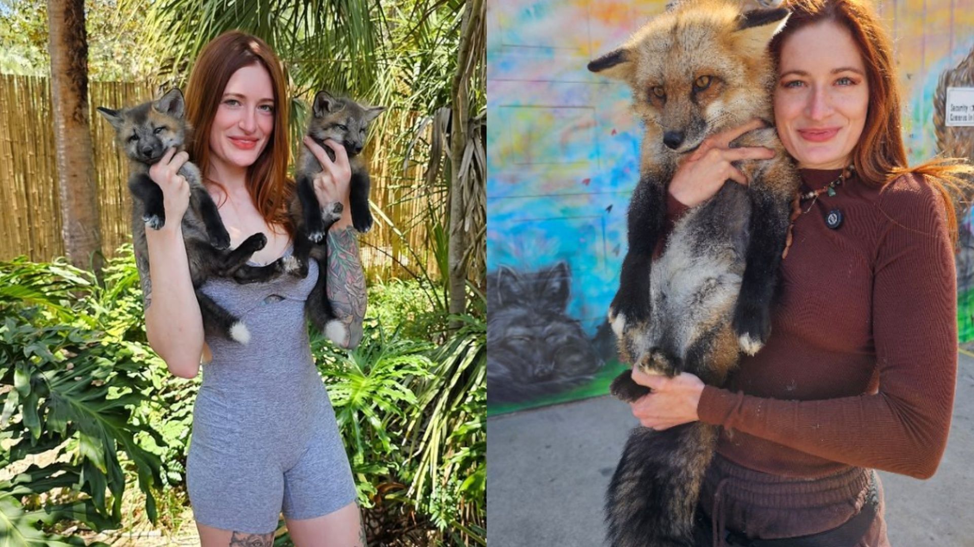 Mikayla Raines was the founder of SaveAFox. (Image via Instagram/ saveafox_rescue)