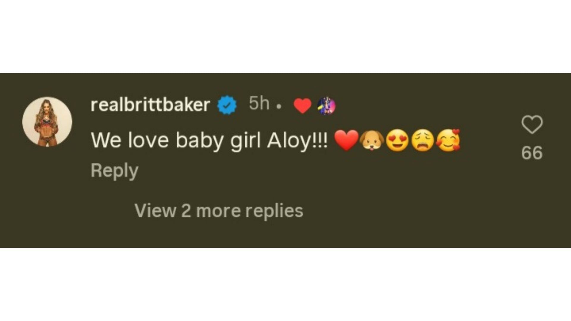 Britt Baker&#039;s comment under Adam Cole&#039;s post about his new dog [Image Credits: Instagram]