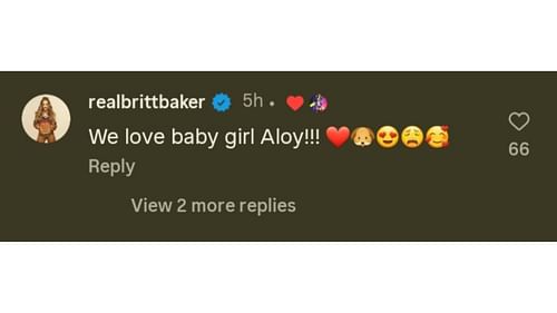 Britt Baker's comment under Adam Cole's post about his new dog [Image Credits: Instagram]