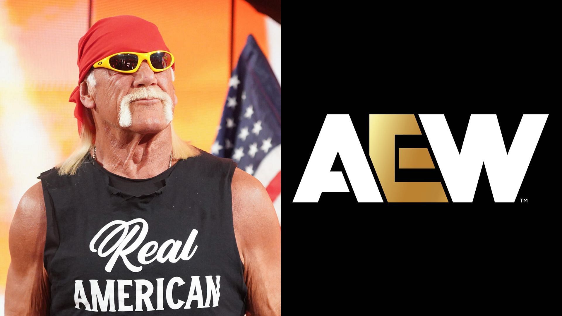 Hulk Hogan is a WWE Hall of Famer [Photo: wwe.com]