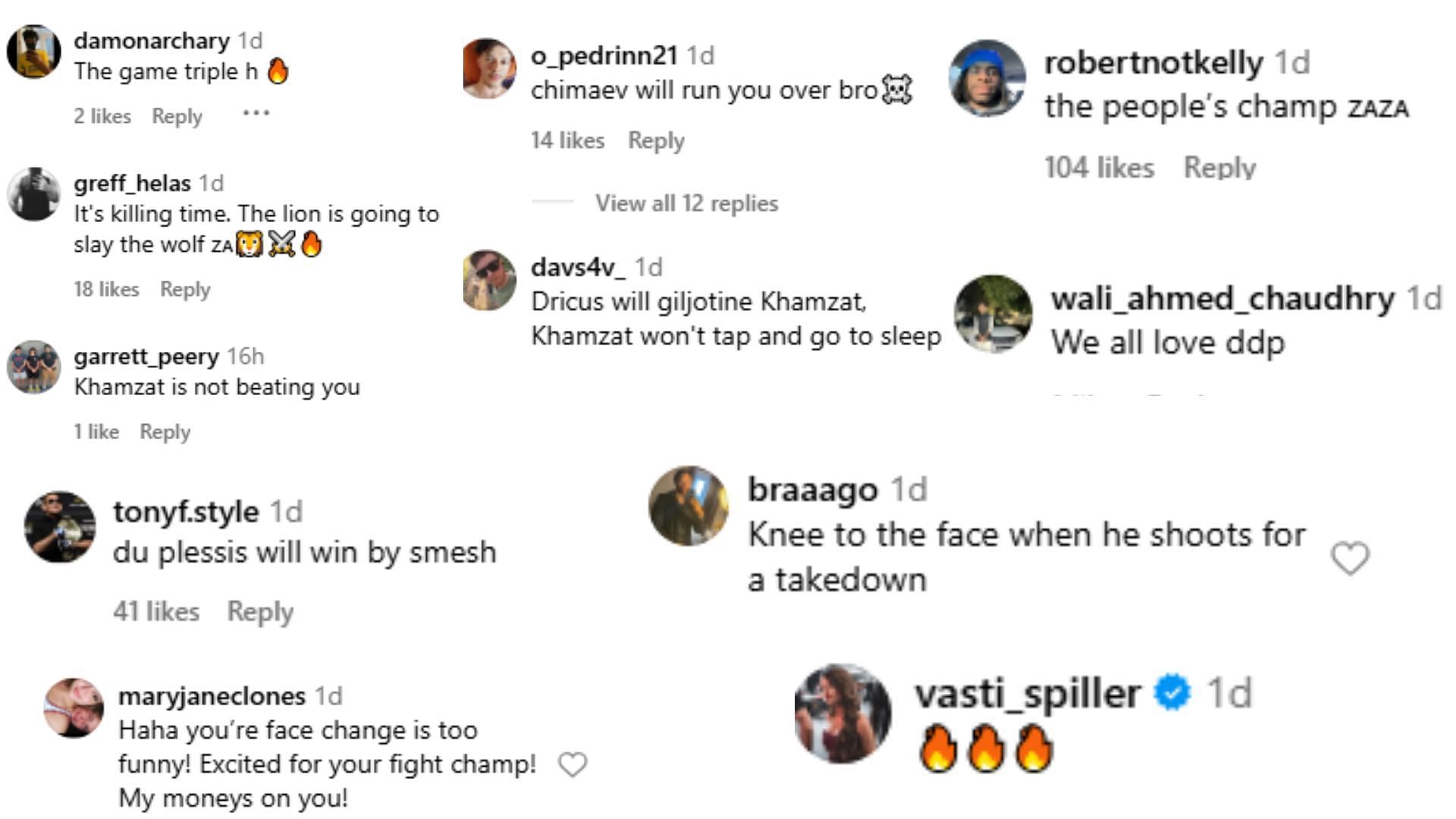 Fan comments. [Screenshots courtesy: @dricusduplessis on Instagram]