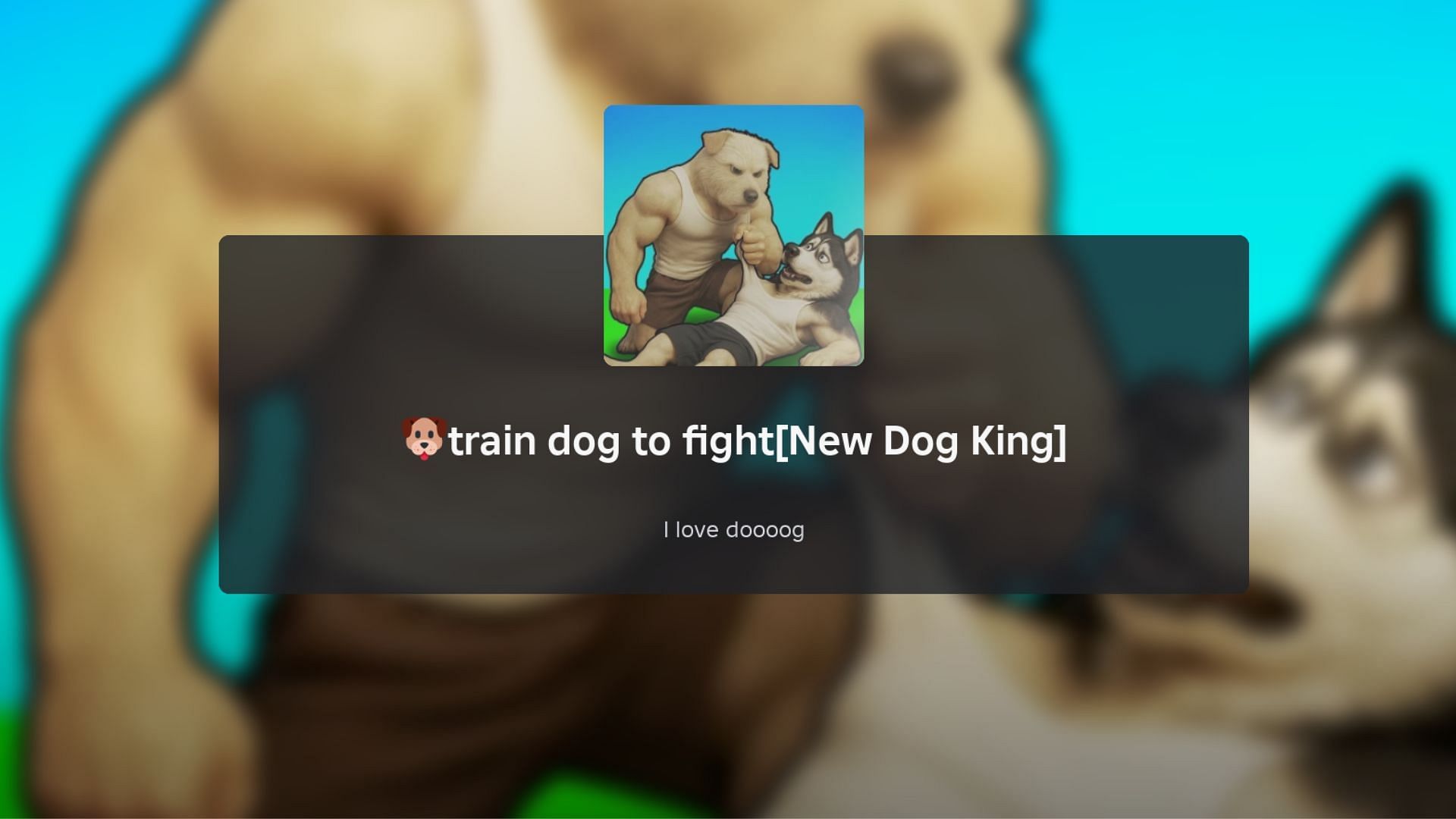 Train Dog to Fight loading screen