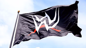 31-year-old WWE star shows off impressive body transformation