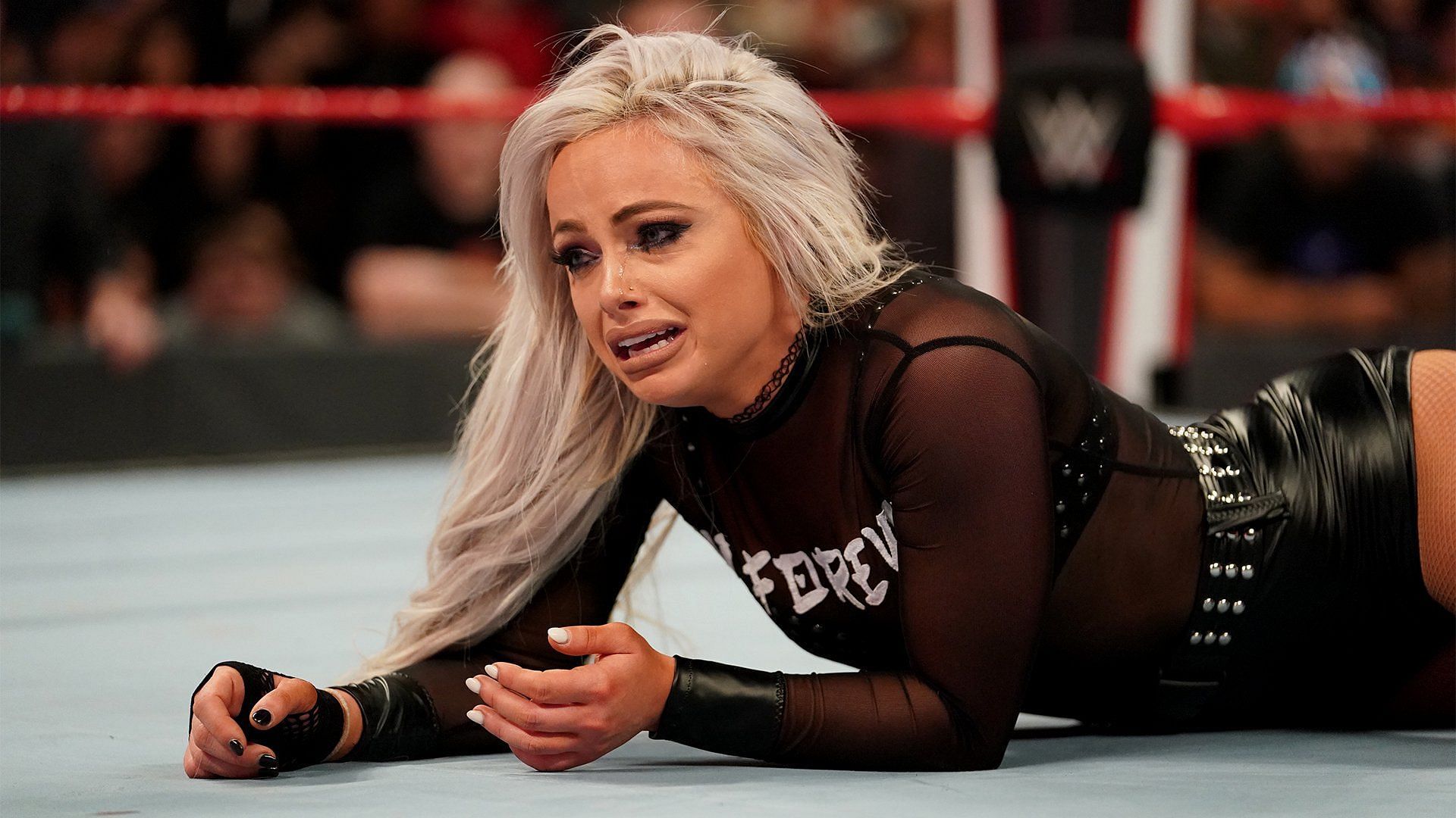 Liv Morgan will not battle for the contract (Image via WWE.com)