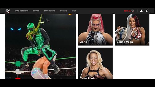 Screenshot of Mr. Iguana's pic. [Image credit: WWE.com]