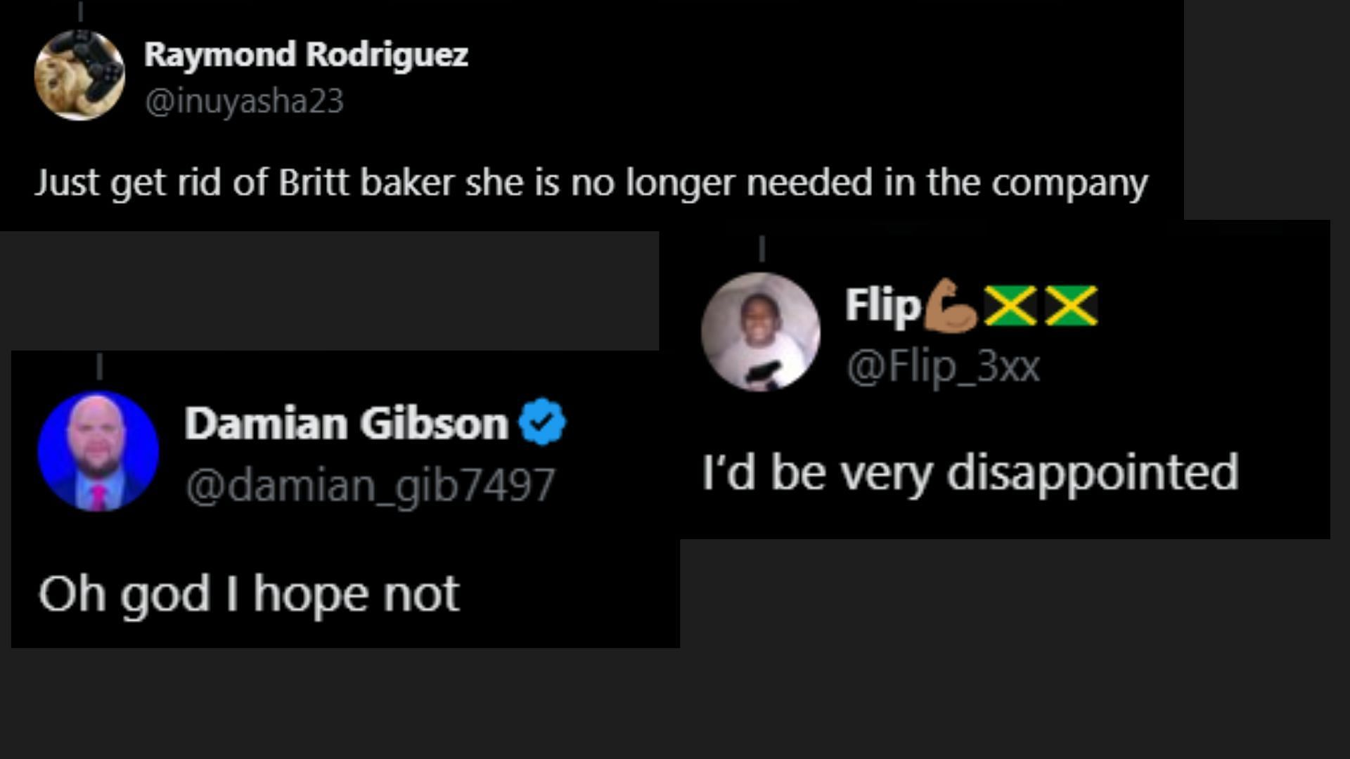 All Elite Wrestling fans are seemingly disinterested in seeing Britt Baker return (Images via @AewDefender on X)