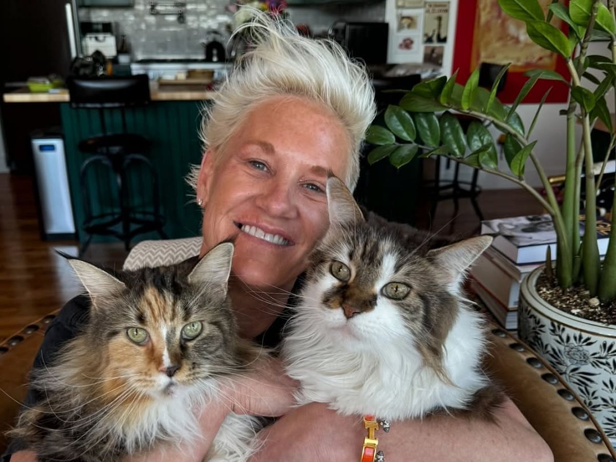 How old was Anne Burrell? Gigi Hadid, Alex Guarnaschelli and more pay tribute to the late Food Network personality