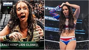 Chelsea Green breaks down in tears after WWE fan hands her someone precious