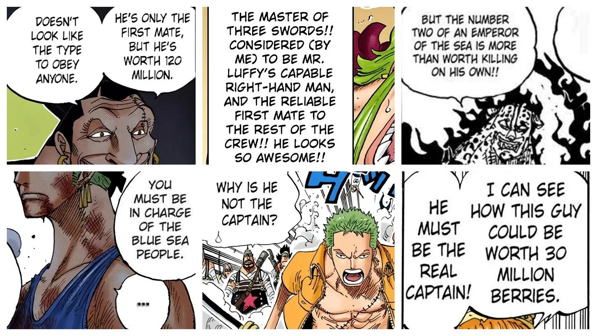 One Piece establishes Zoro as the second-in-command of the Straw Hat Pirates (Image via Shueisha)