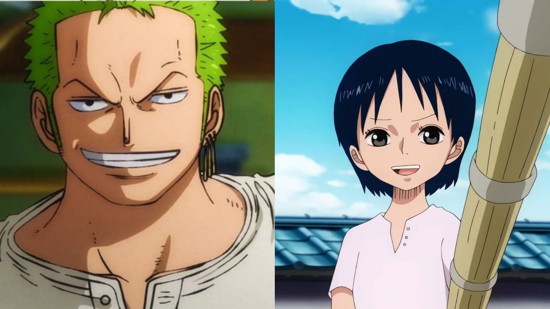 One Piece lost a perfect chance to prove Zoro right, and it has to do with Tashigi (Image via Toei Animation)