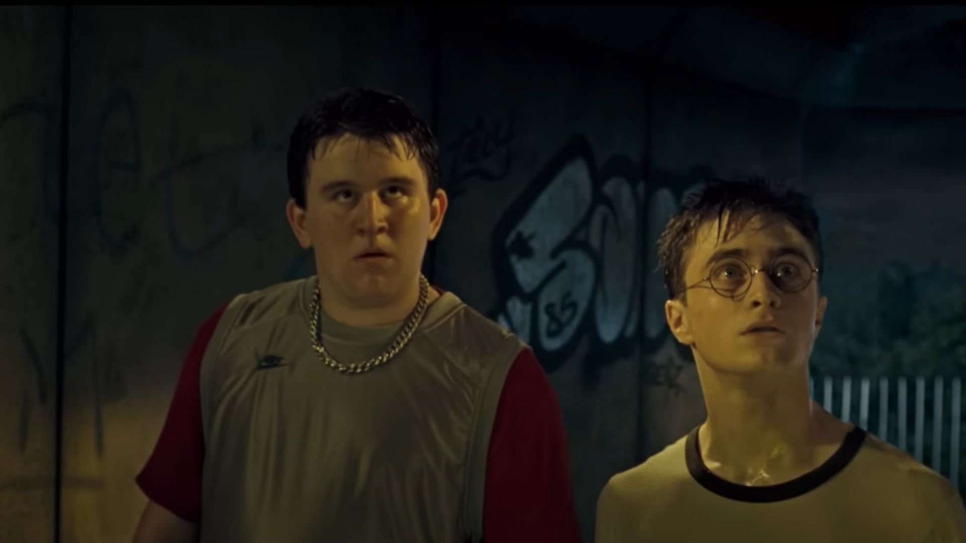 Dudley and Harry in the movie (Image via Warner Bros)