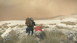 How to find the Artist Porter in Death Stranding 2