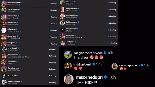 Screenshots of stars' likes and comments [Image credit: Chelsea Green's Instagram handle]