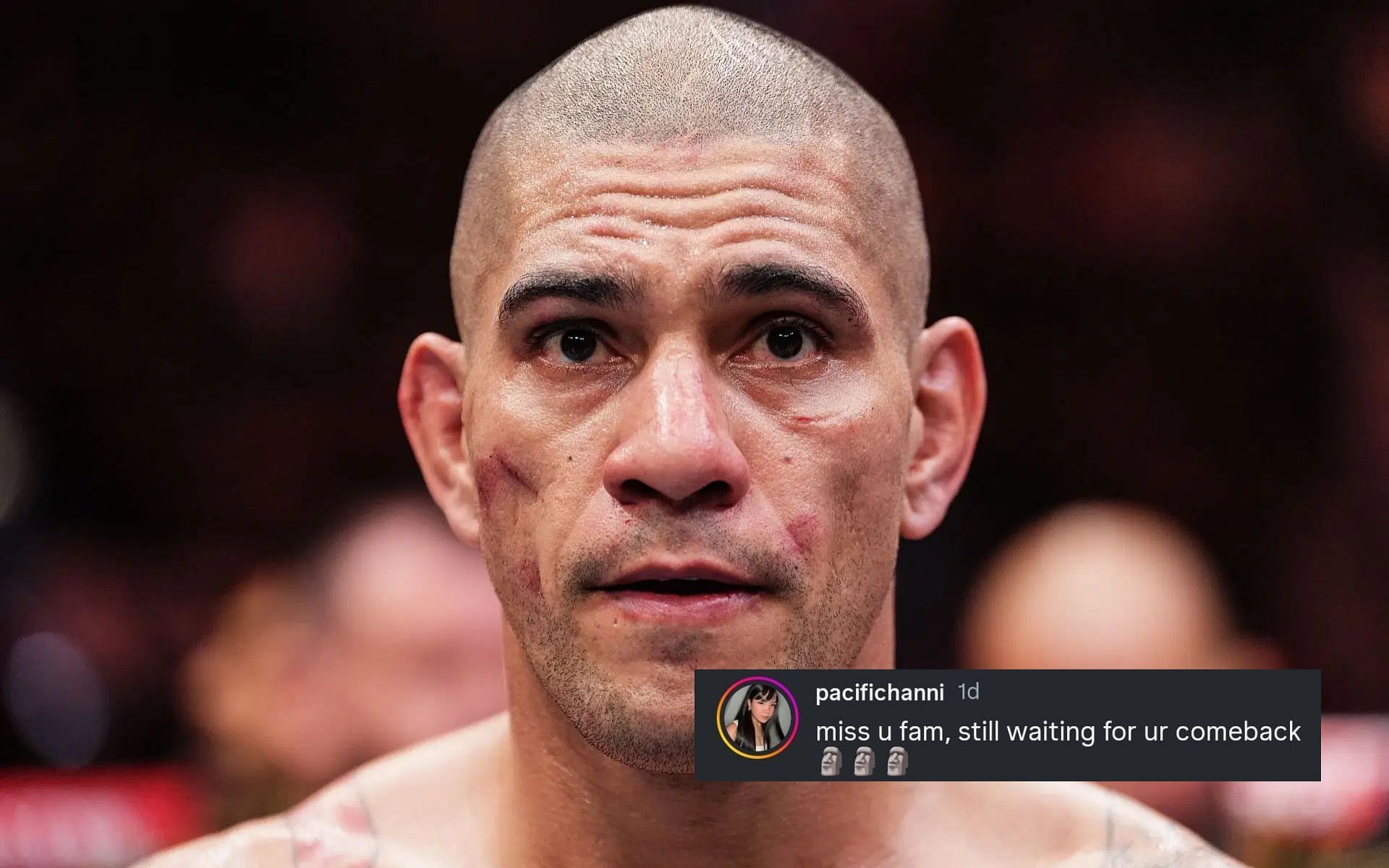 Fans react to Alex Pereira
