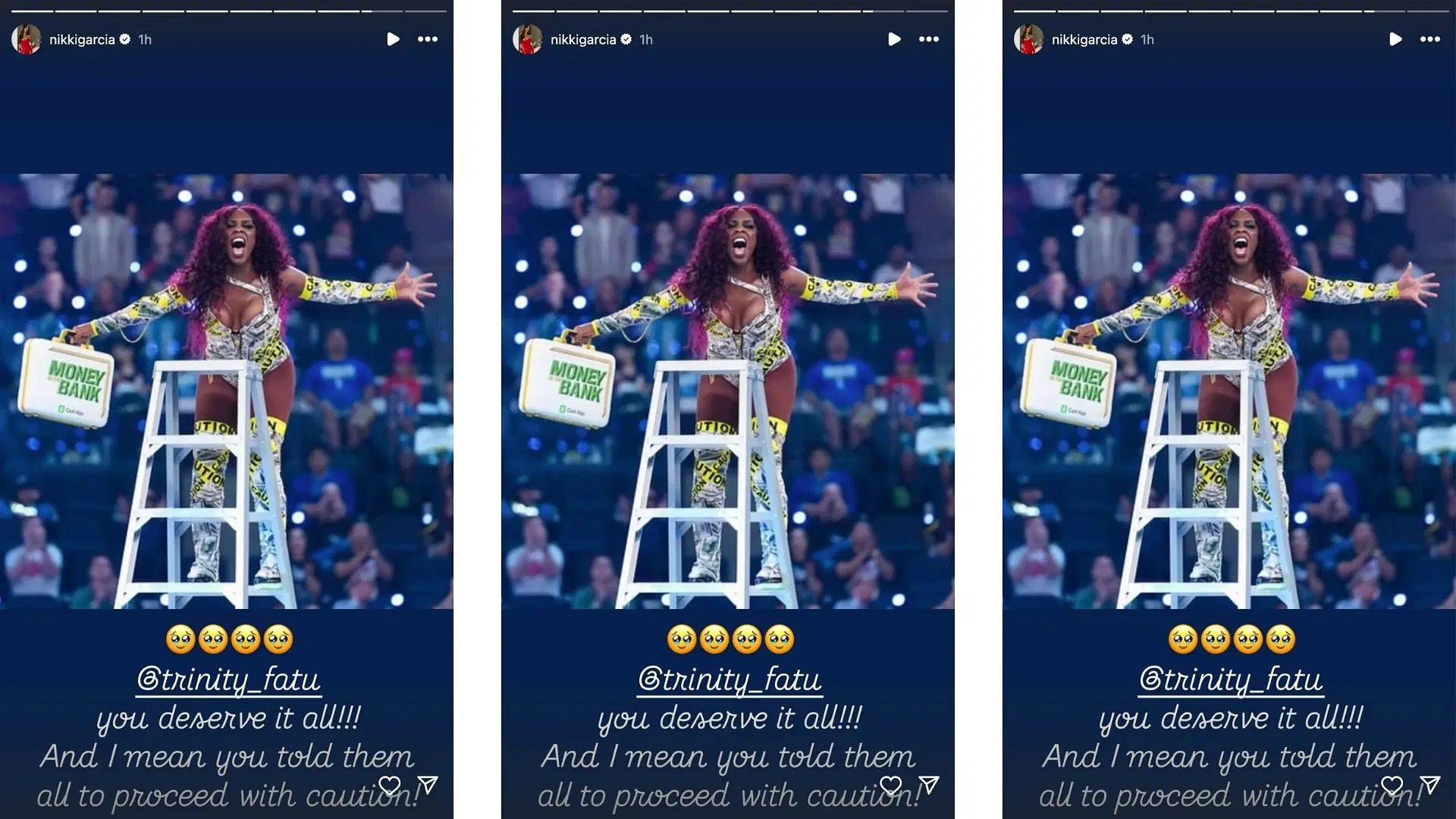 Bella congratulated Naomi today on social media. [Image credit: Nikki Bella&#039;s Instagram]