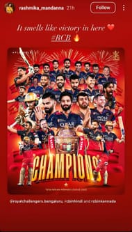 Screenshot of Rashmika Mandanna's Instagram story - Source: Rashmika Mandanna/IG