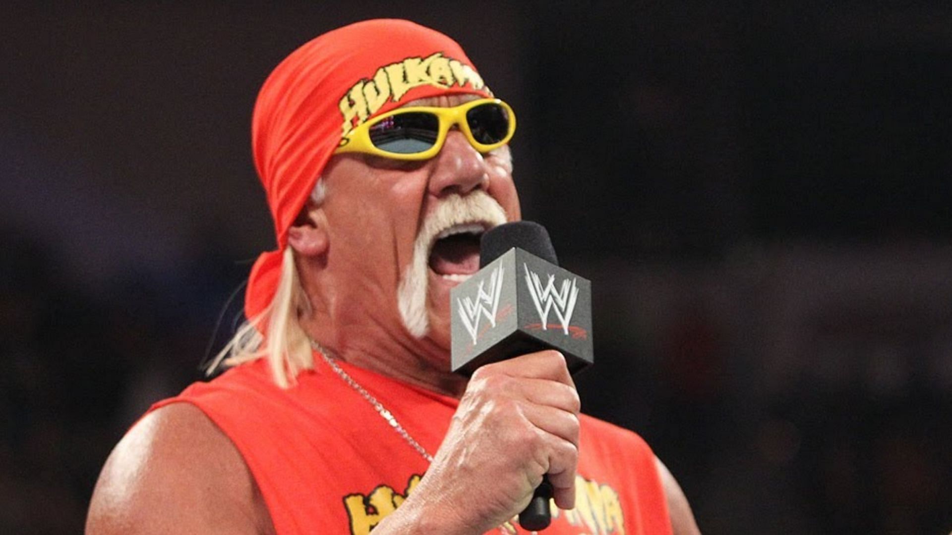 Hulk Hogan is a WWE Hall of Famer. [Image via - WWE