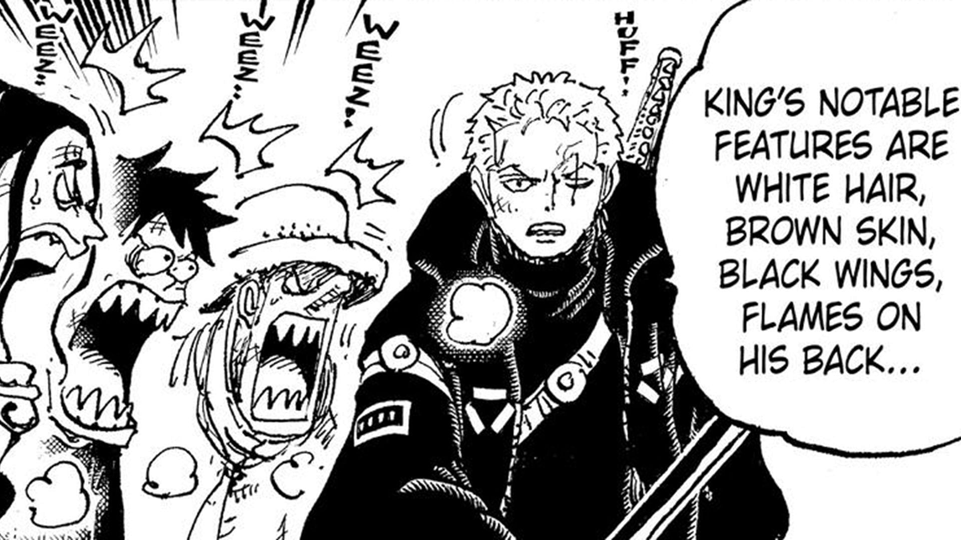 Zoro is smart but also dumb (Image via Shueisha)