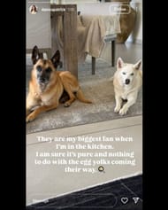 Screenshot of Danica Patrick's Instagram story via @danicapatrick