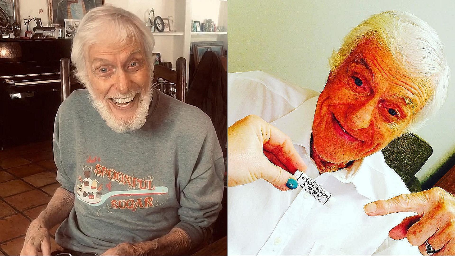 Dick Van Dyke played Timothy Robicheaux on Days of Our Lives (Image via Instagram/@official_dick_van_dyke)