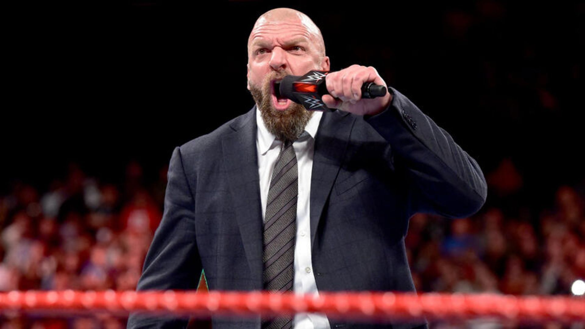What is Triple H planning? (via WWE.com)