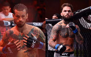 Sean O'Malley gets eye-opening reality check after Cody Garbrandt comparison