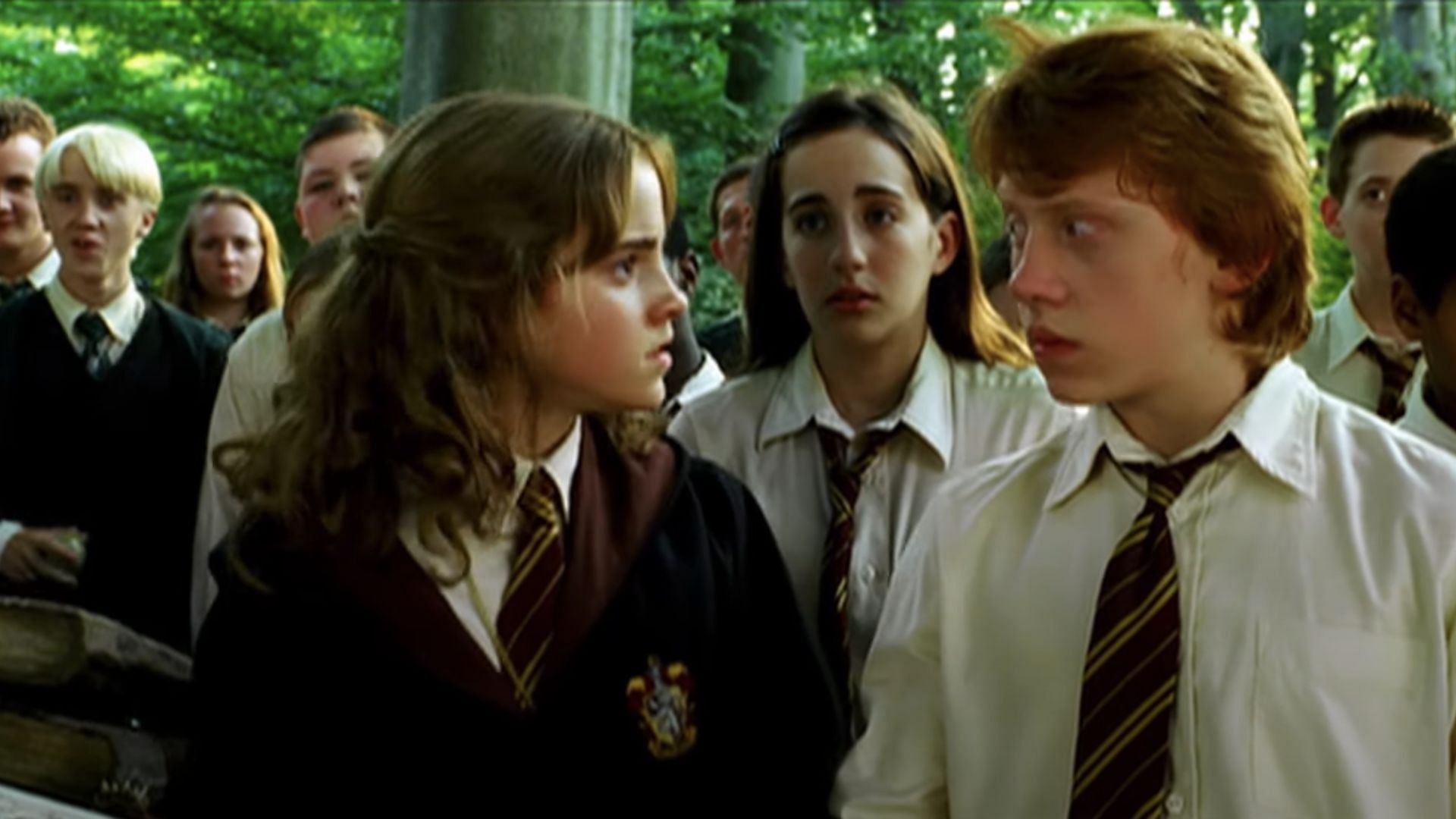 Ron stands up for Hermione (Image via Warner Bros)