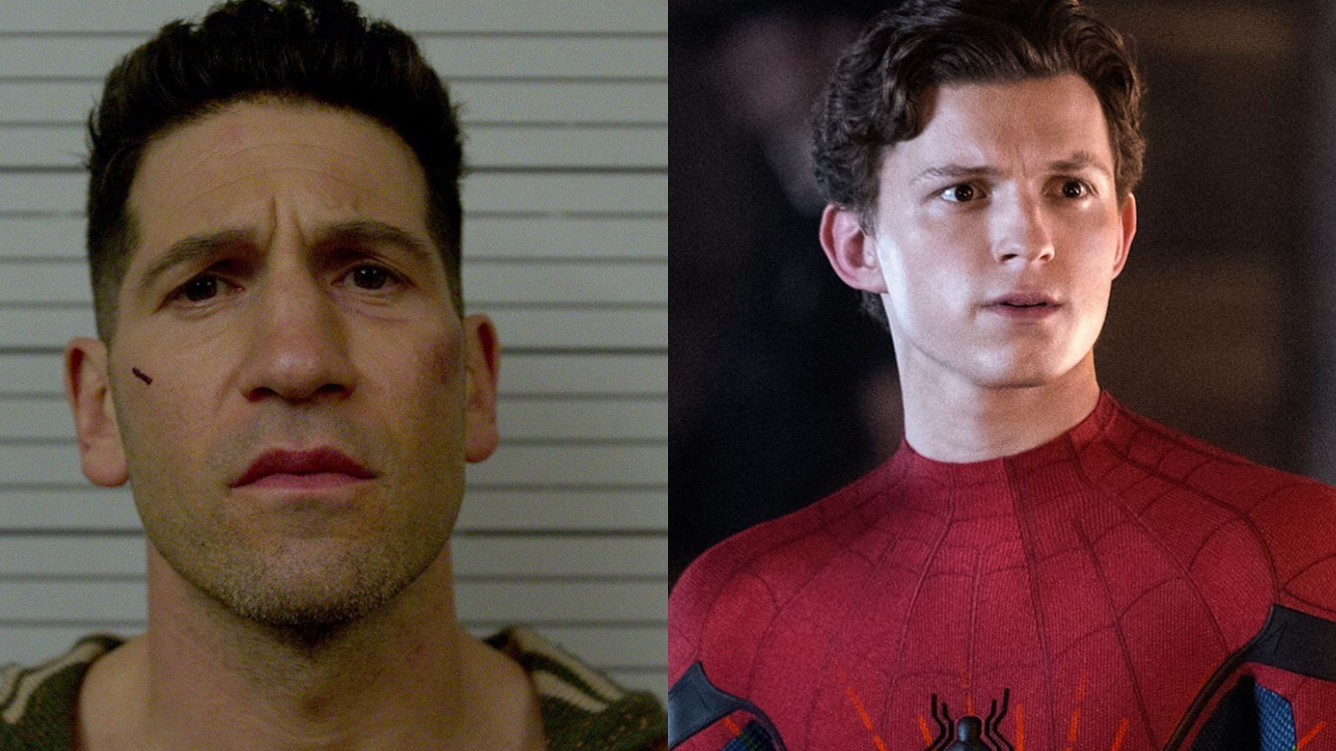 What role will Jon Bernthal play in Spider-Man: Brand New Day? Character explored (Image via Instagram/@thepunisher; @spidermanmovie)