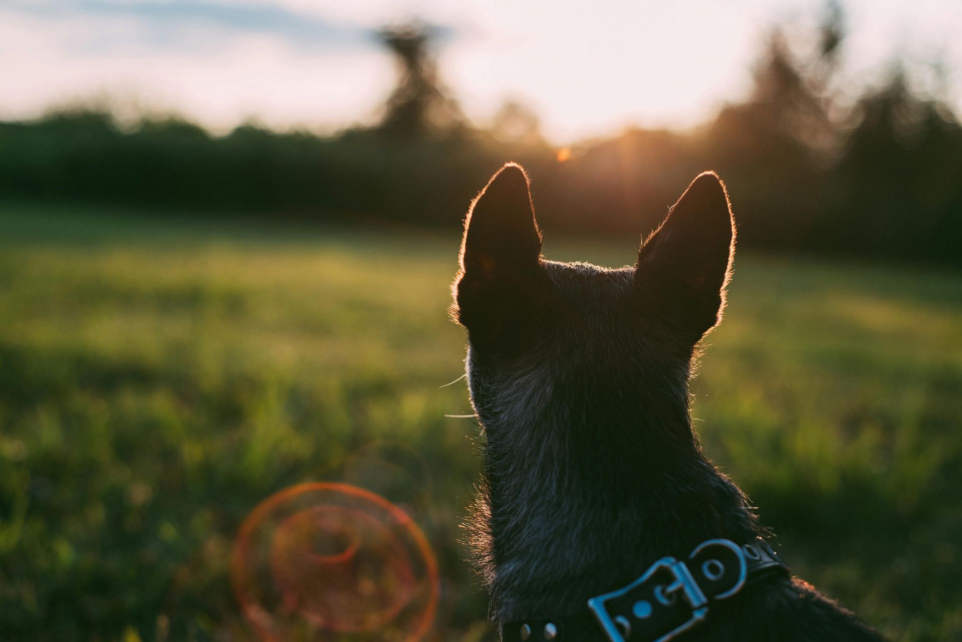 Representative image (Image via Pexels)