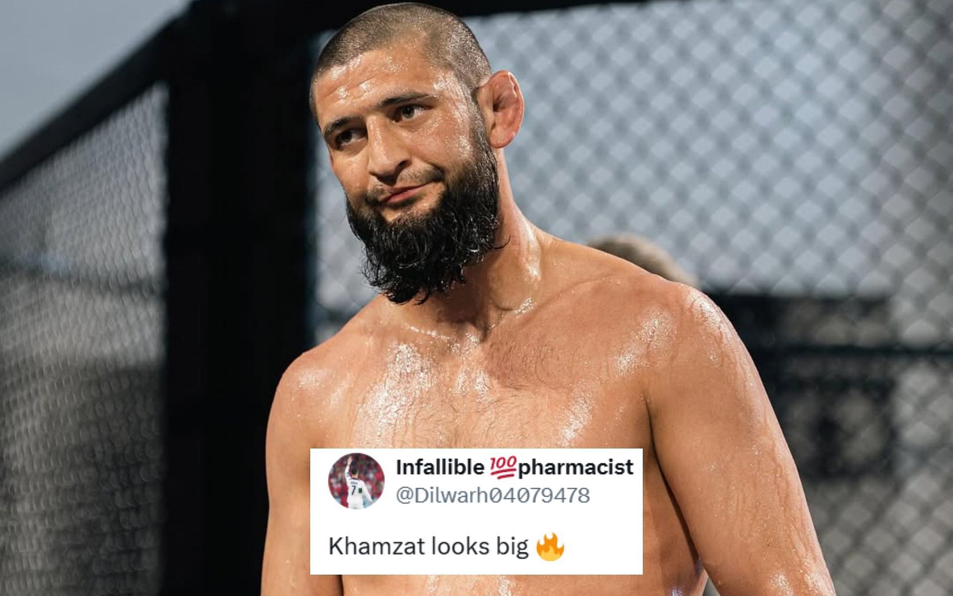 Fans react to Khamzat Chimaev