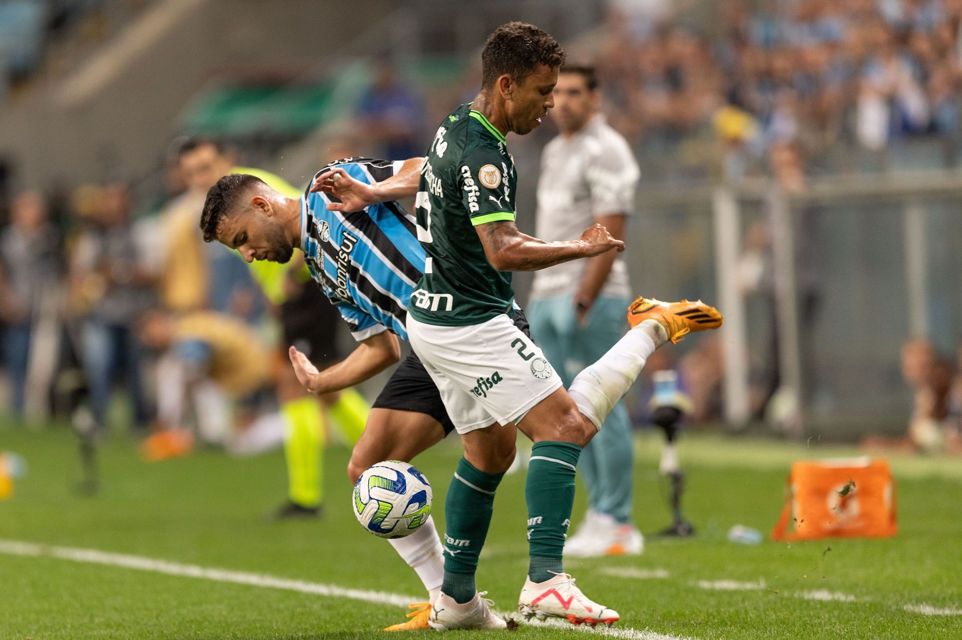 Gremio v Palmeiras -  Brasileirao 2023 - Source: Getty