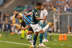 Palmeiras vs Grêmio Prediction and Betting Tips | July 26th 2025