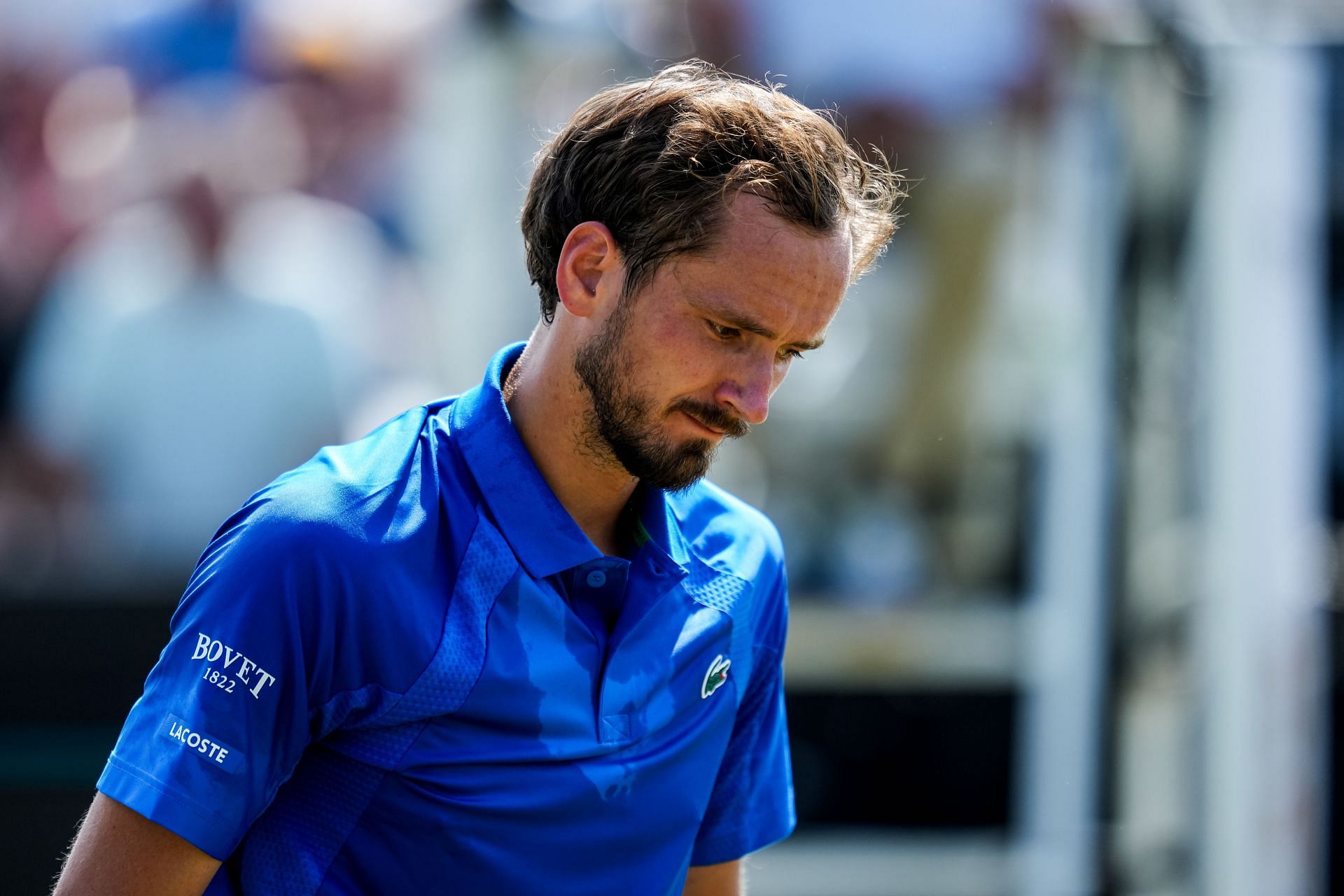 Libema Open Grass Court Championships - Source: Getty