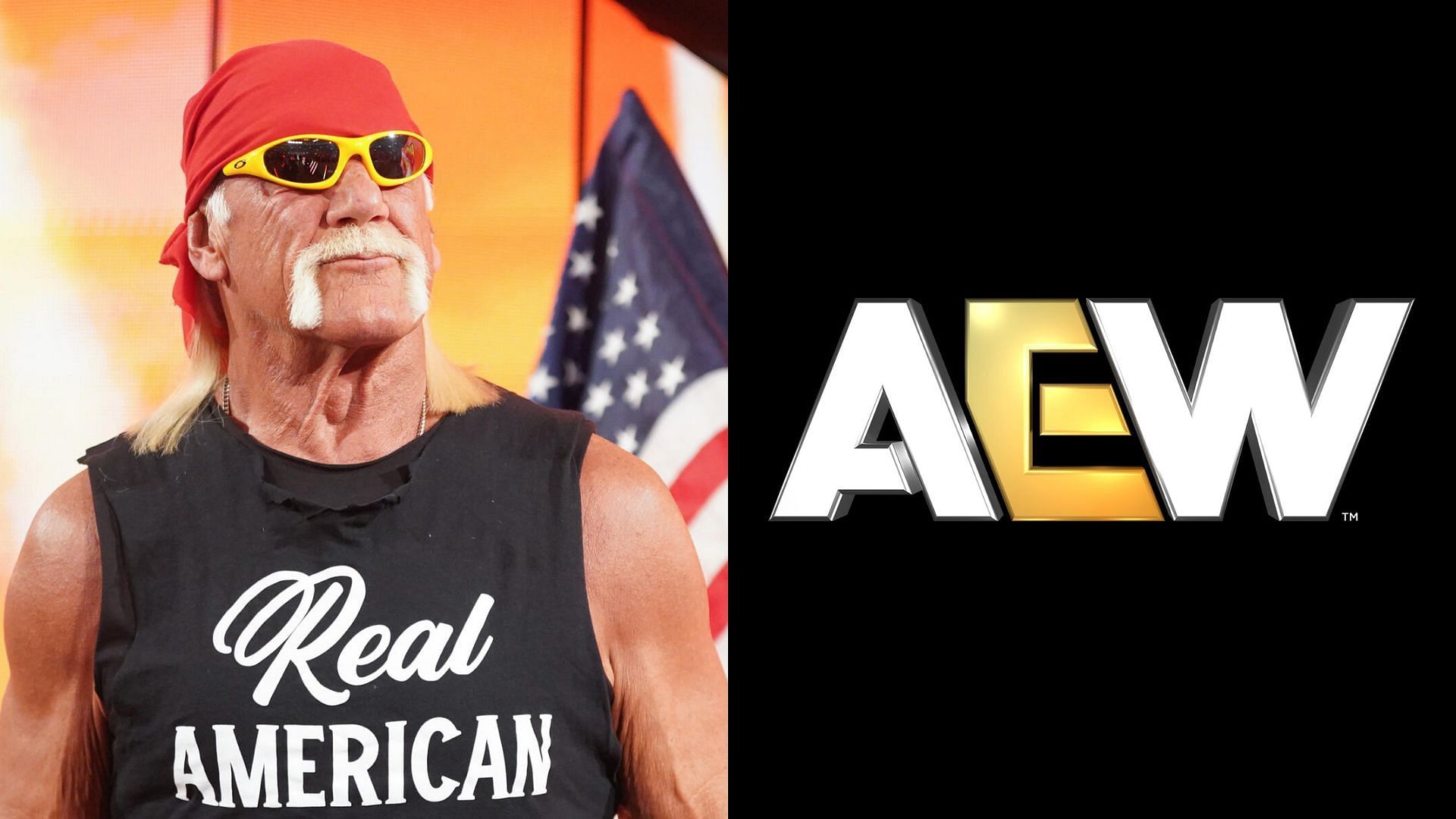 Hulk Hogan (left) and AEW logo (right). (Image credits: wwe.com &amp; AEW Facebook page)