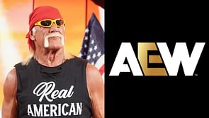 Former AEW champion 'seen' during emotional Hulk Hogan tribute on WWE SmackDown