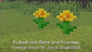 Fan believes Minecraft has teased moobloom in recent YouTube short