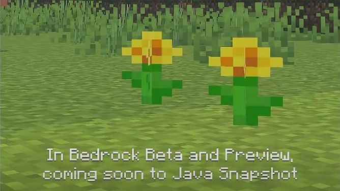 Fan believes Minecraft has teased moobloom in recent YouTube short